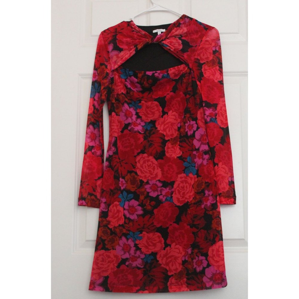 theget Mini Mesh Red Dress Roses Sexy Flirty Cutout Date night Y2K